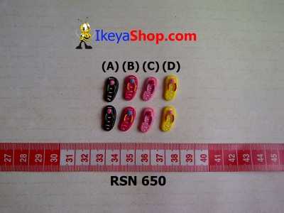 rsn 650  large2